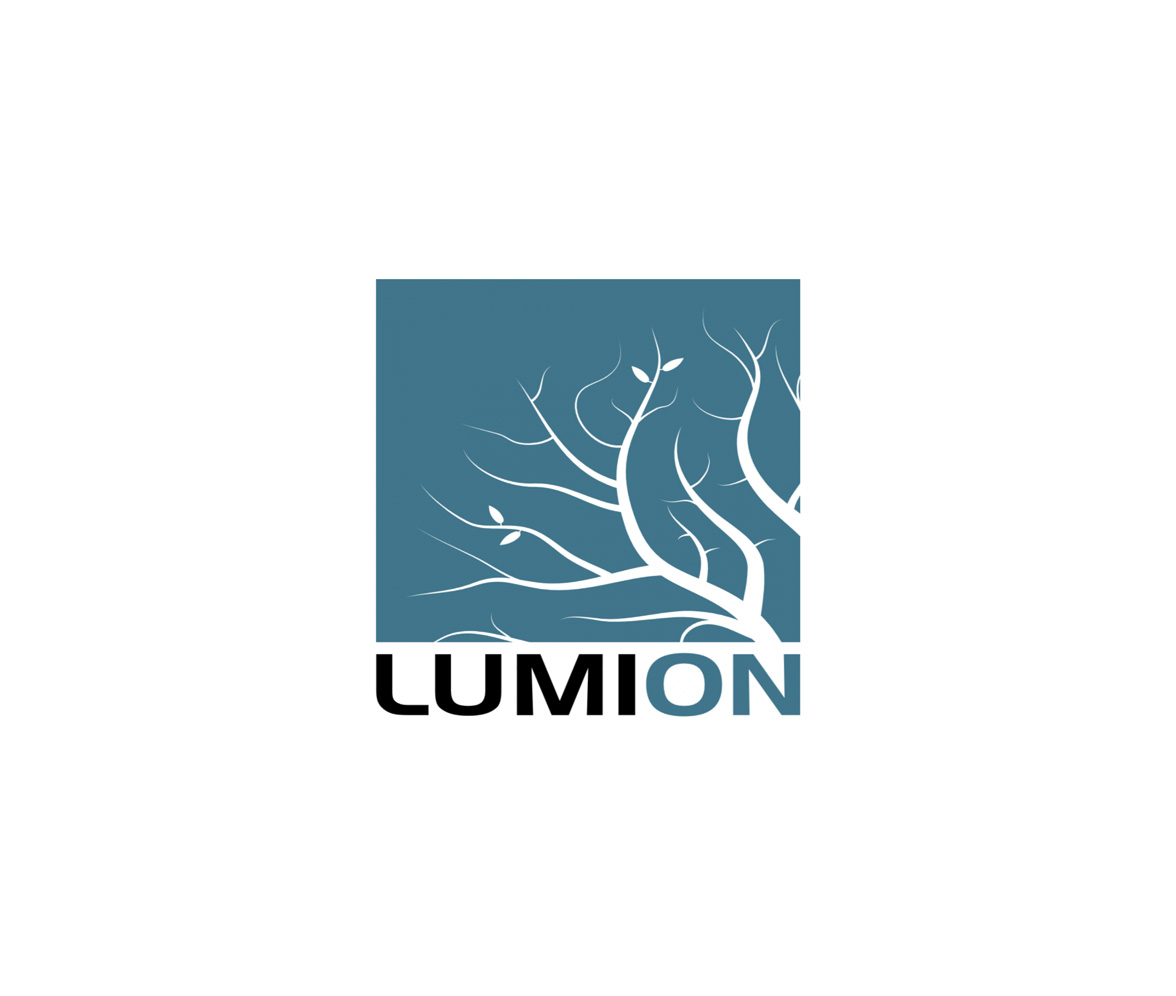 Lumion